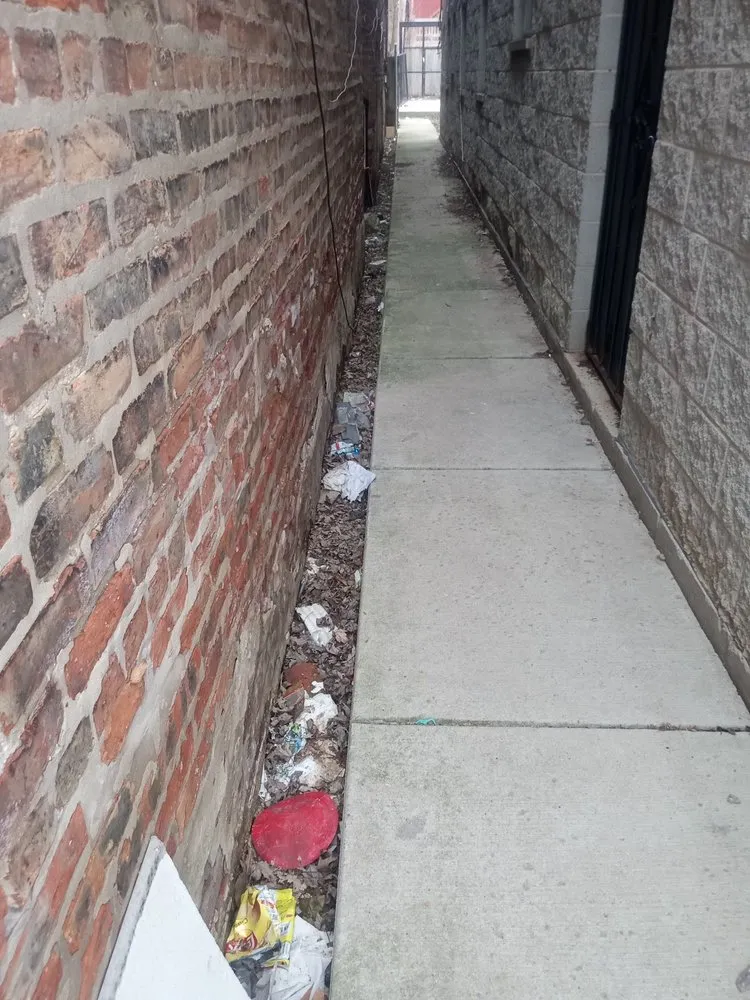 Reliable yard maintenance for beautiful yards across Cicero, IL - Dylans Yard