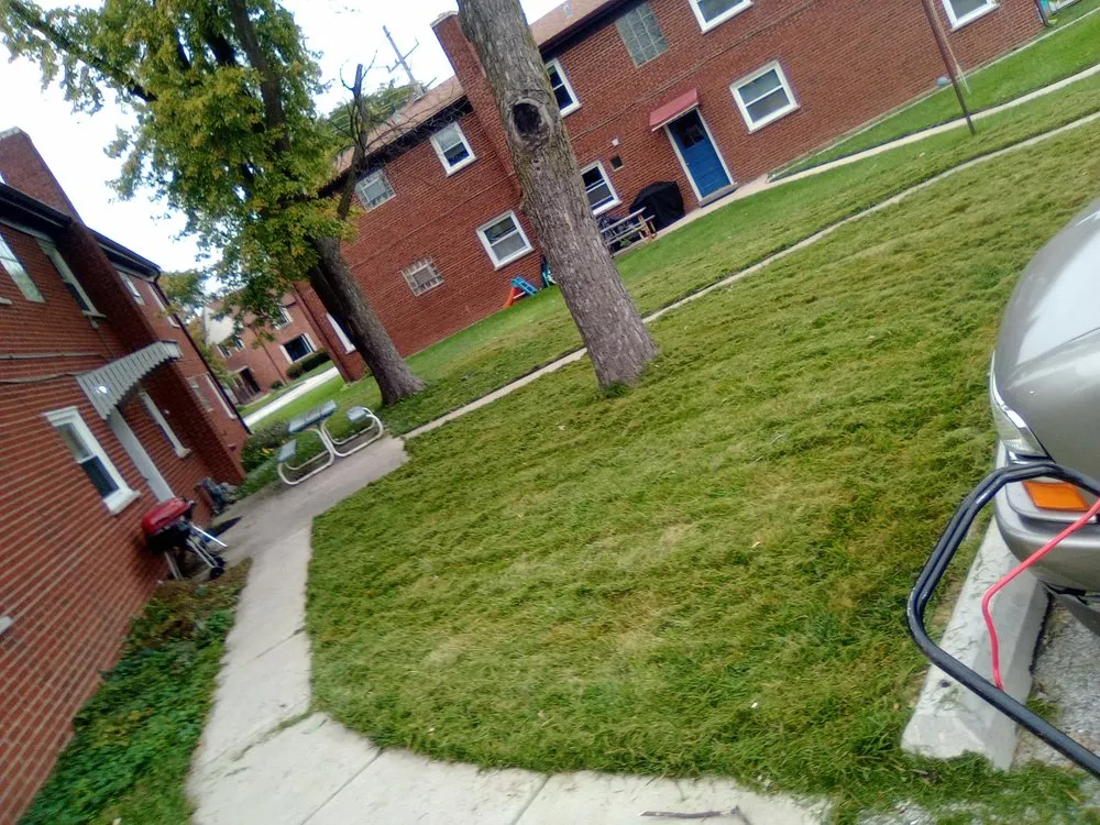 Top-rated landscape design in Cicero, IL - Dylans Yard