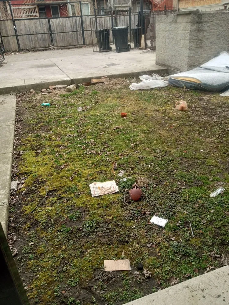 Top-rated lawn care service in Cicero, IL - Dylans Yard