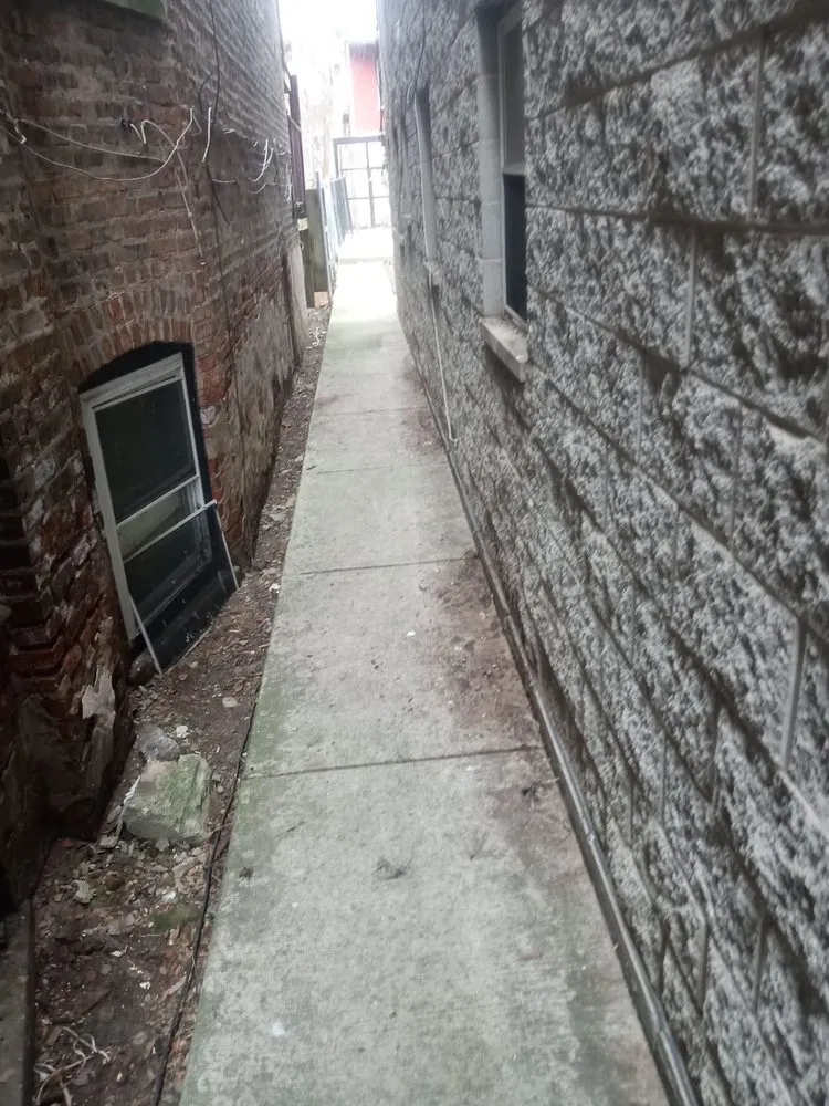 Trusted yard cleanup service for homes across Cicero, IL - Dylans Yard