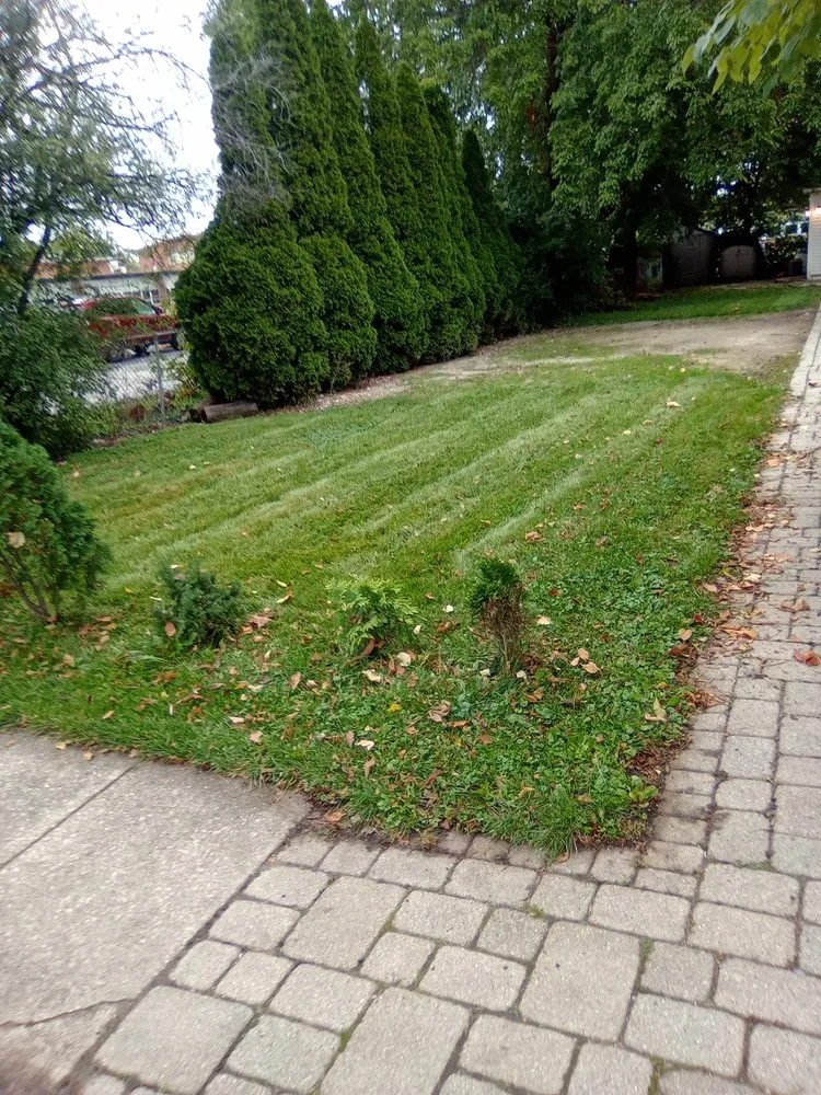 Reliable landscaping services experts serving Cicero, IL - Dylans Yard