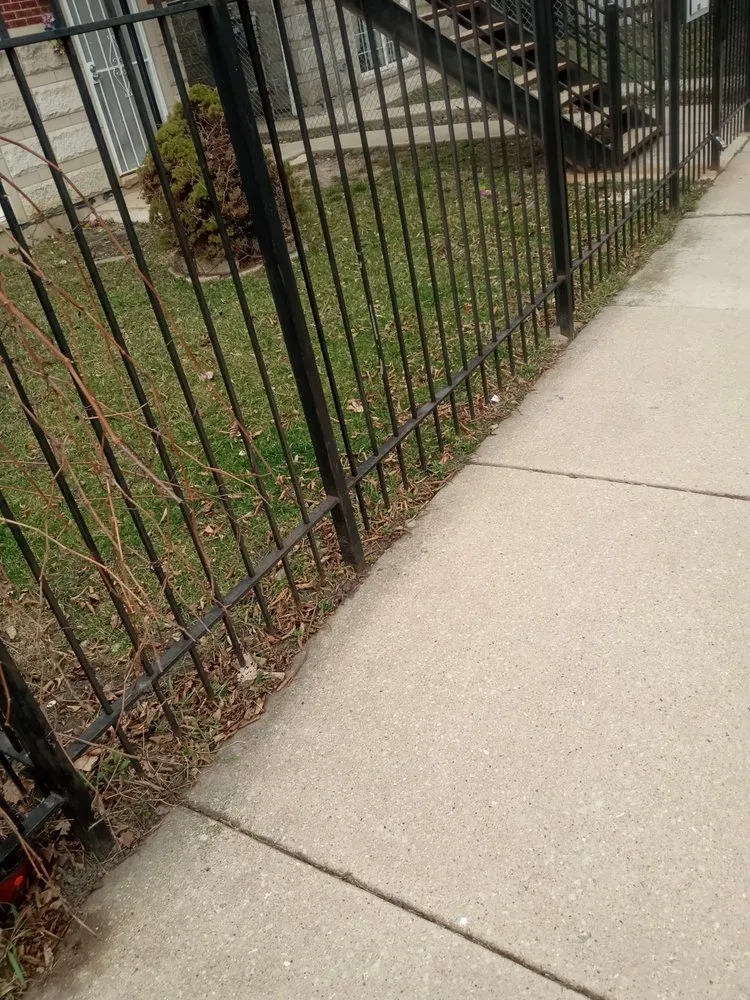 Expert yard cleanup service near you in Cicero, IL by Dylans Yard
