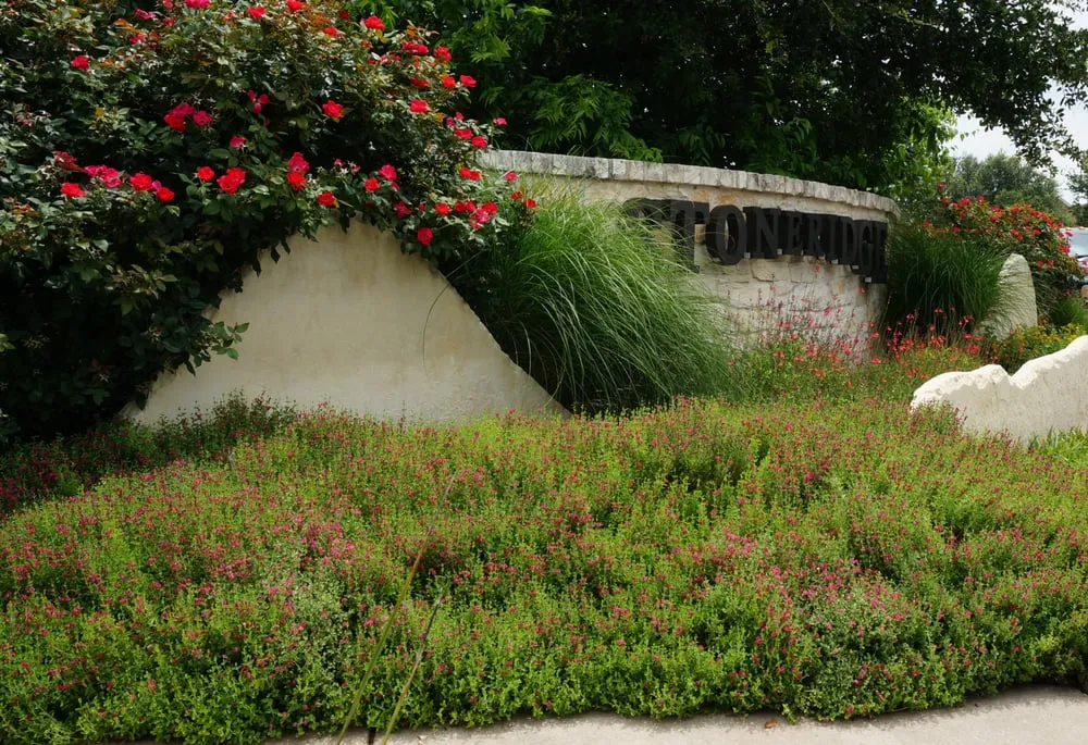 Top-rated residential landscaping in Austin, TX by Dynamic Austin Landscapes