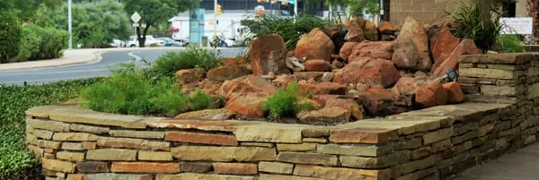 Dynamic Austin Landscapes Logo