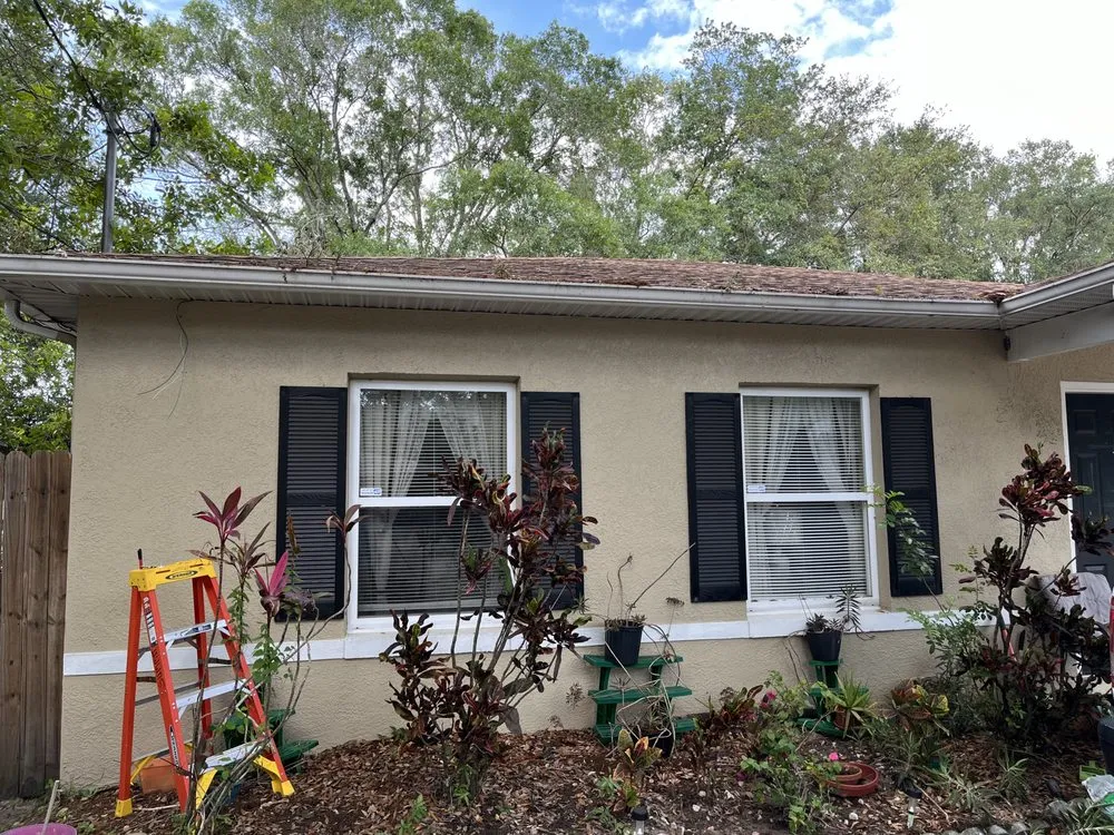 Reliable landscaping services for beautiful yards across Holiday, FL - Dynamic Dash Fire