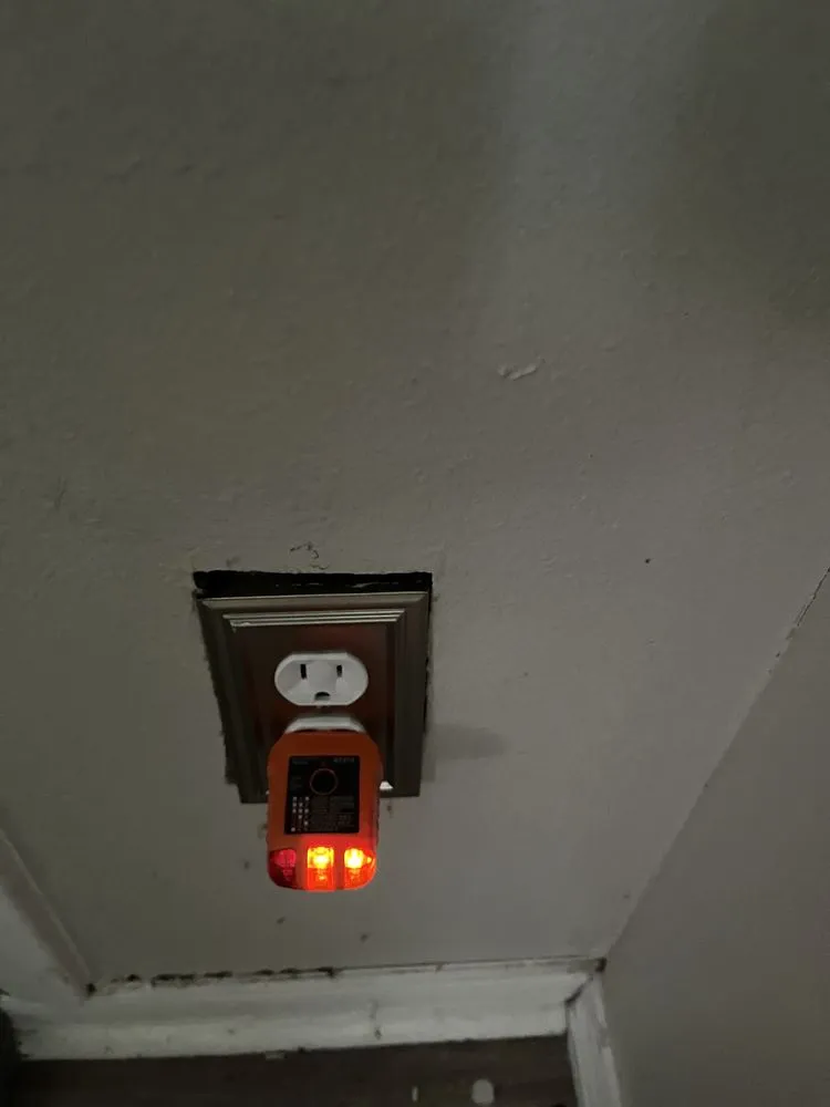 Reliable landscaping services experts serving Holiday, FL - Dynamic Dash Fire