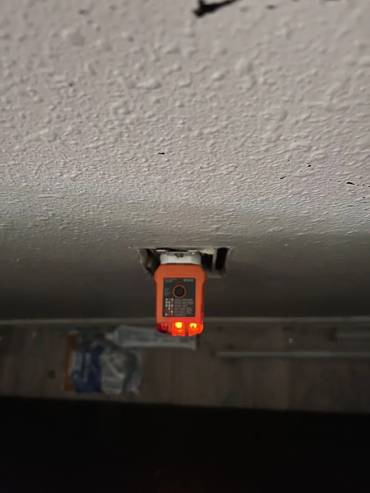 Top-rated yard maintenance experts serving Holiday, FL - Dynamic Dash Fire