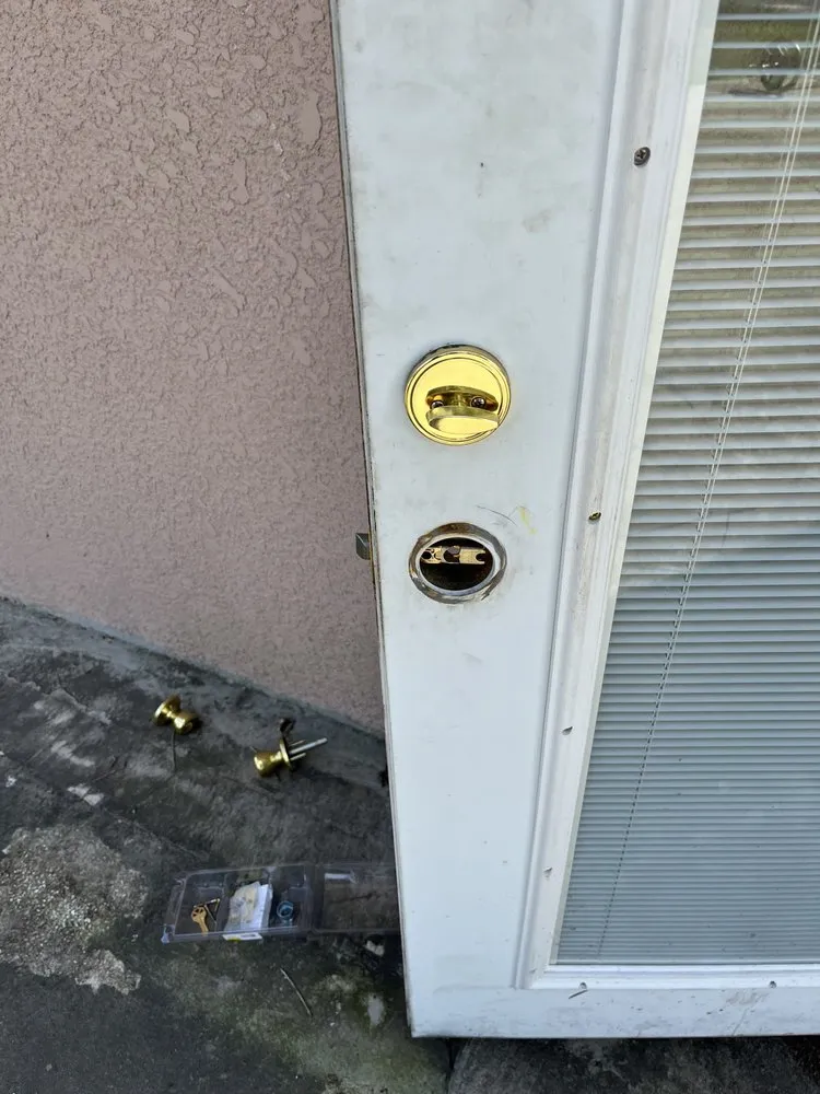 Trusted lawn care service in Holiday, FL - Dynamic Dash Fire