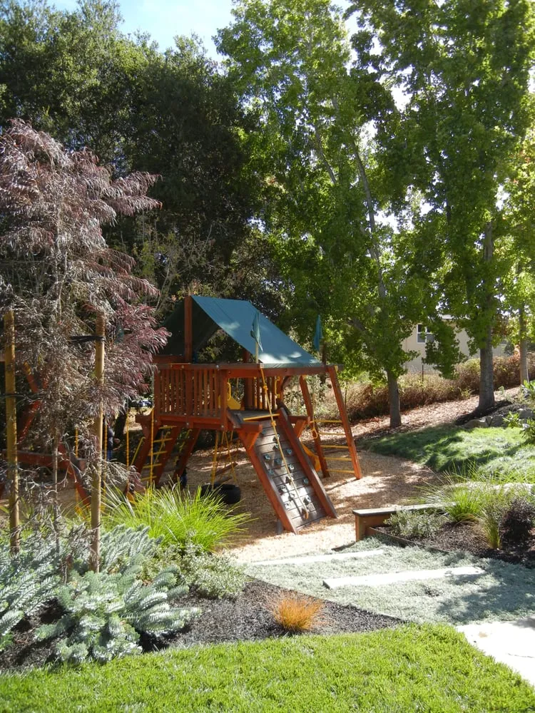 Trusted lawn care service in Castro Valley, CA - Dynamic Designs