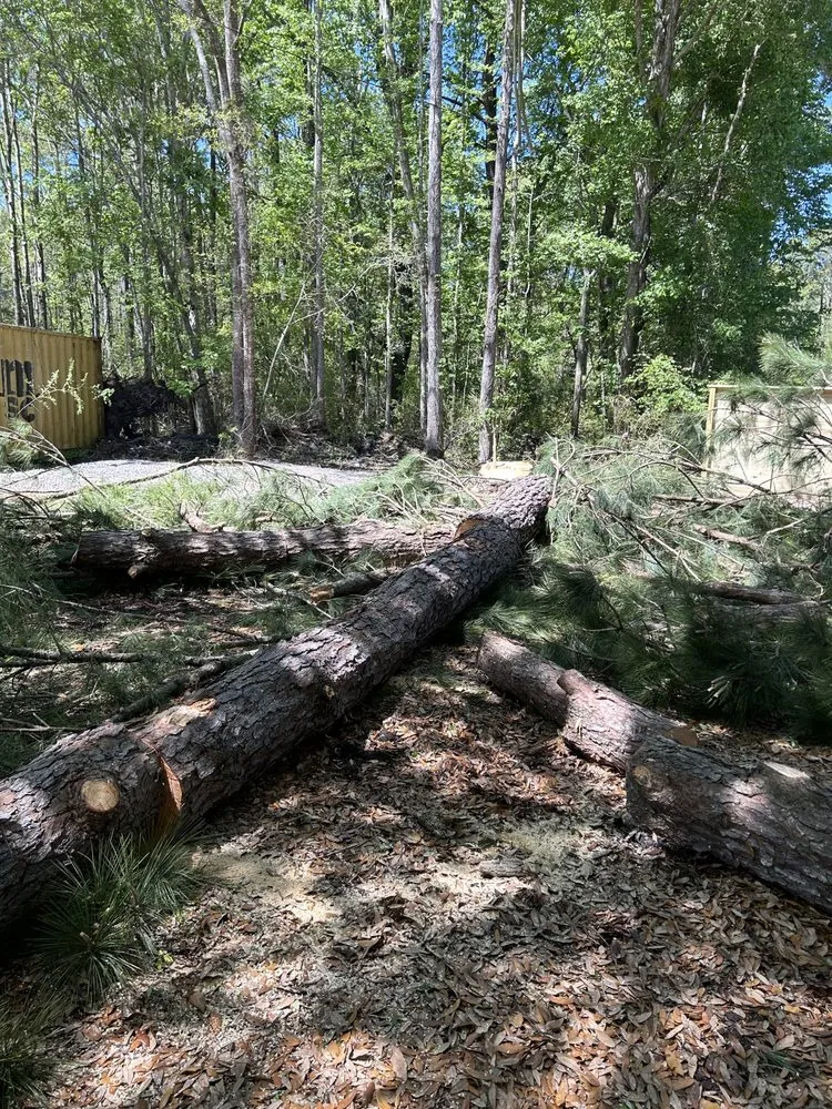 Trusted residential landscaping in Cottageville, SC by Dynamic Duo Land and Tree Service