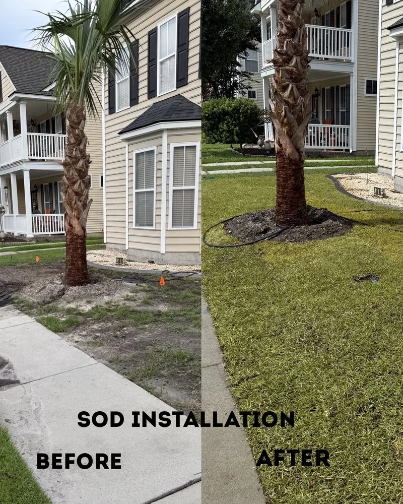 Affordable outdoor landscaping in Cottageville, SC - Dynamic Duo Land and Tree Service