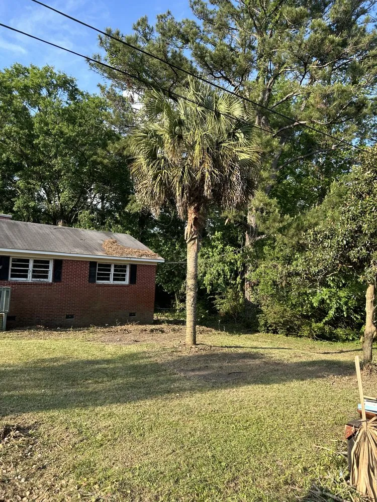 Expert landscape design for outdoor upgrades in Cottageville, SC by Dynamic Duo Land and Tree Service