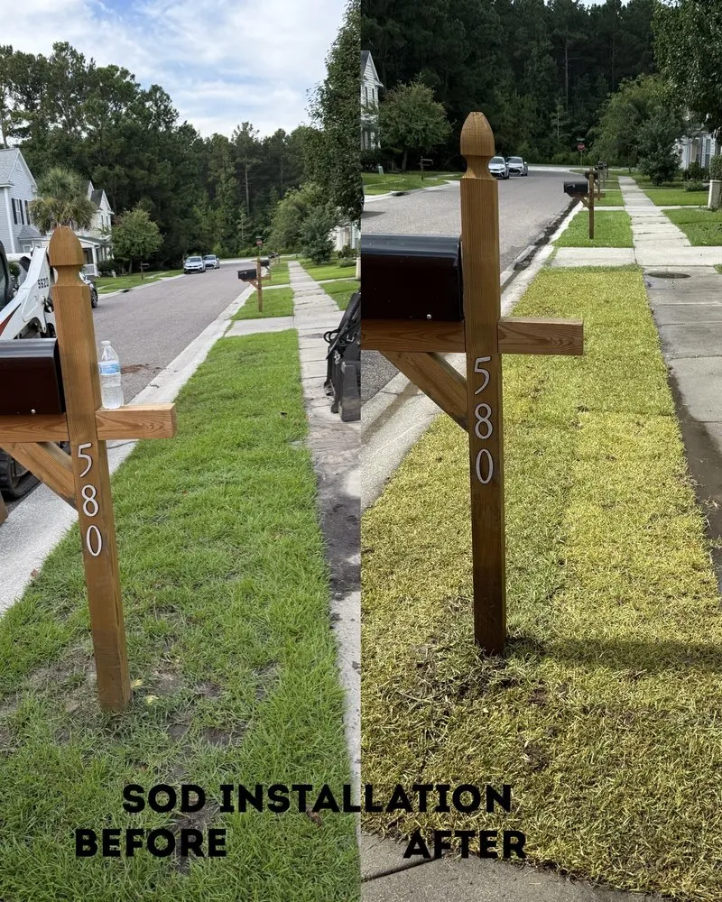 Custom outdoor landscaping in Cottageville, SC - Dynamic Duo Land and Tree Service