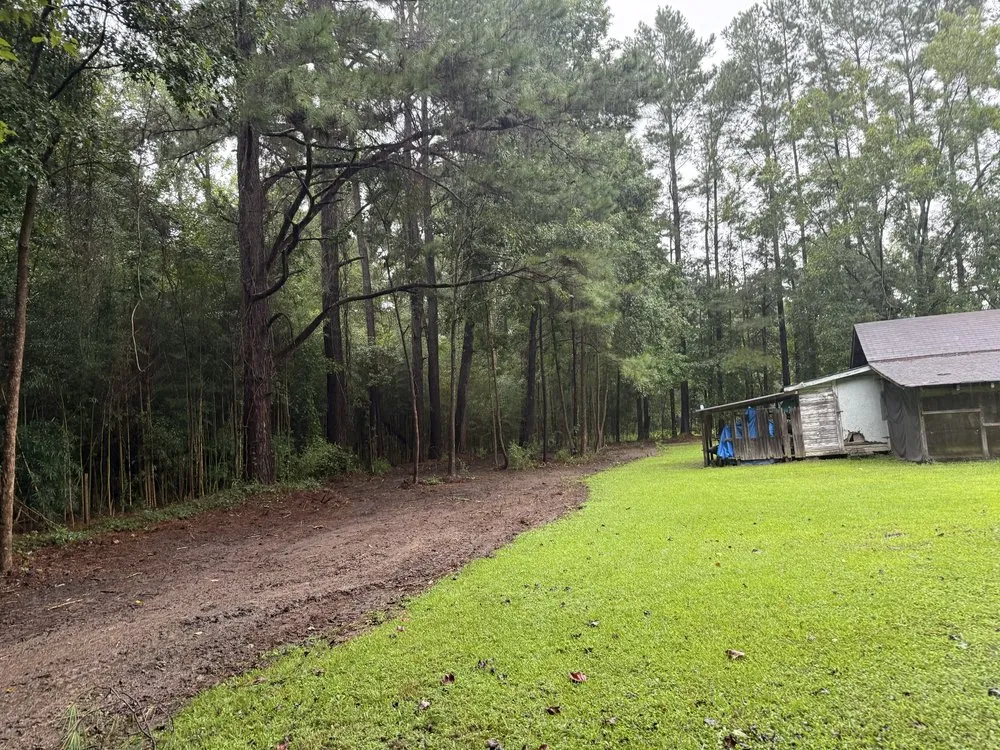 Expert landscape design in Cottageville, SC - Dynamic Duo Land and Tree Service