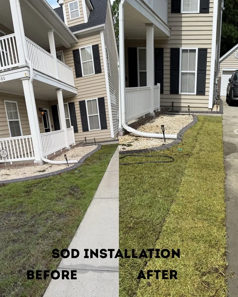 Trusted residential landscaping in Cottageville, SC by Dynamic Duo Land and Tree Service