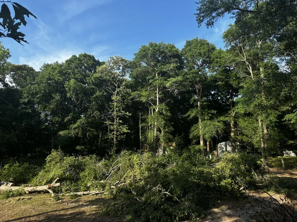 Expert outdoor landscaping for beautiful yards across Cottageville, SC - Dynamic Duo Land and Tree Service