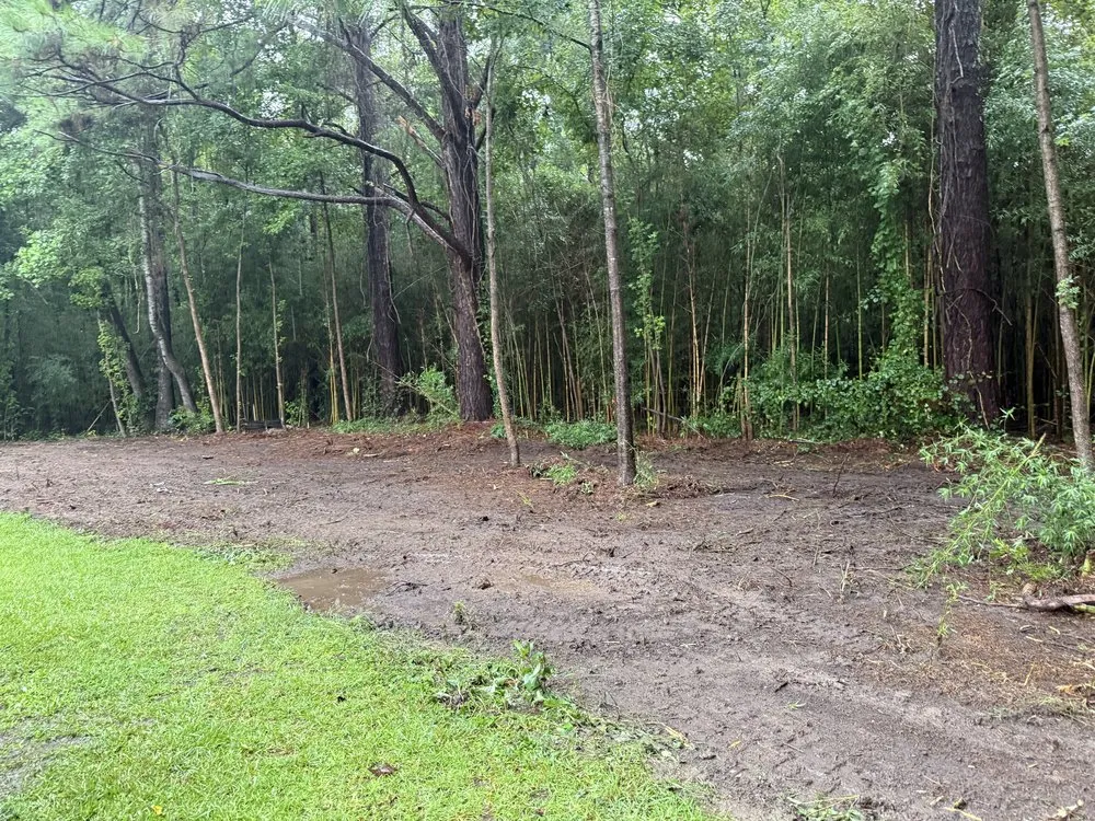 Trusted yard cleanup service experts serving Cottageville, SC - Dynamic Duo Land and Tree Service