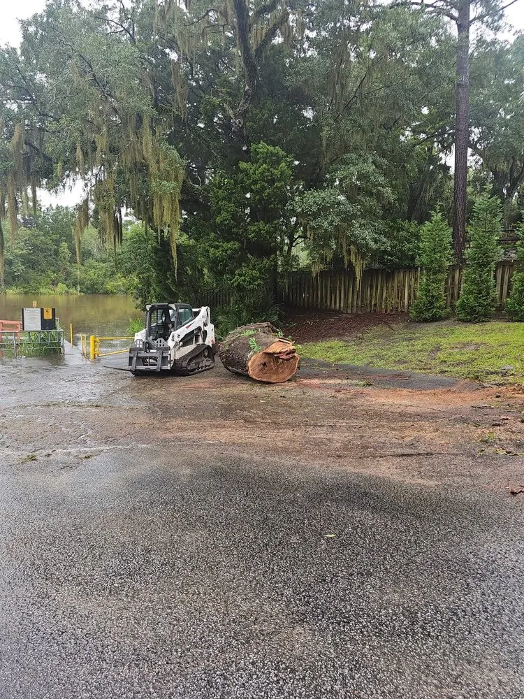 Top-rated outdoor landscaping near you across Cottageville, SC - Dynamic Duo Land and Tree Service