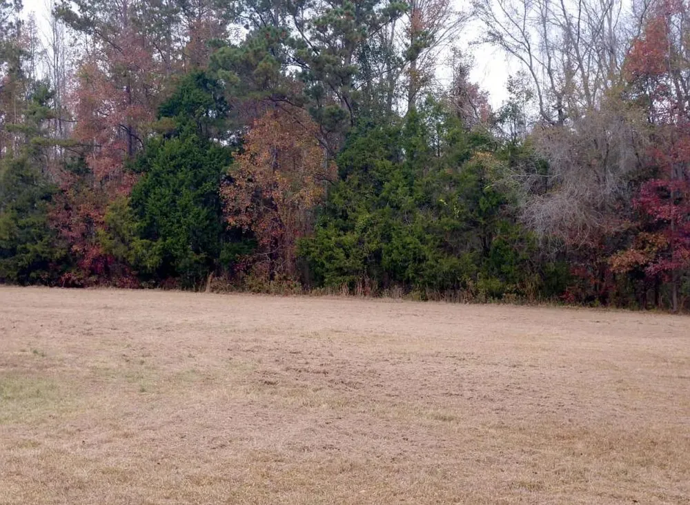 Expert lawn mowing service for beautiful yards in Cottageville, SC by Dynamic Duo Land and Tree Service