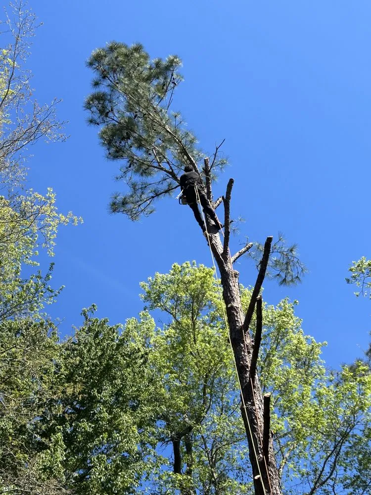 Expert lawn mowing service for year-round maintenance in Cottageville, SC by Dynamic Duo Land and Tree Service