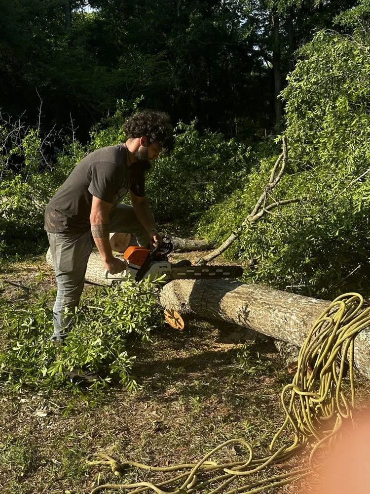 Local outdoor landscaping for beautiful yards across Cottageville, SC - Dynamic Duo Land and Tree Service