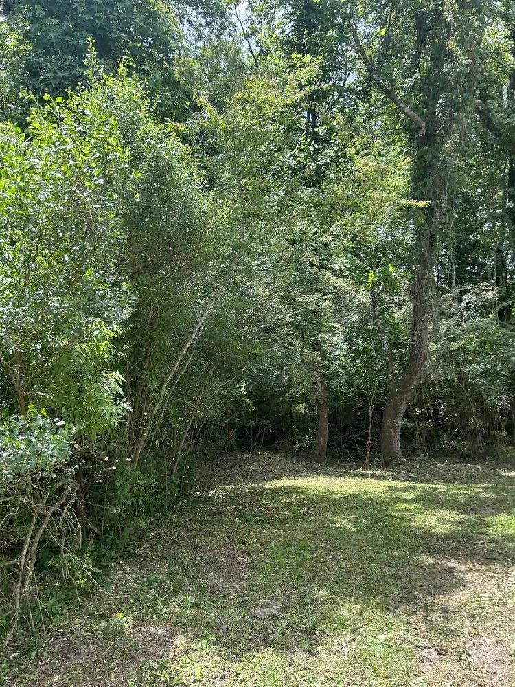 Trusted outdoor landscaping experts serving Cottageville, SC - Dynamic Duo Land and Tree Service