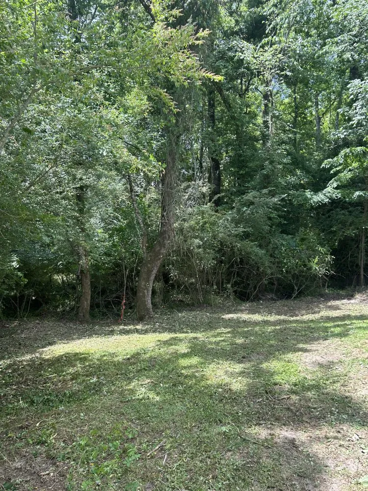 Custom landscape installation for beautiful yards across Cottageville, SC - Dynamic Duo Land and Tree Service