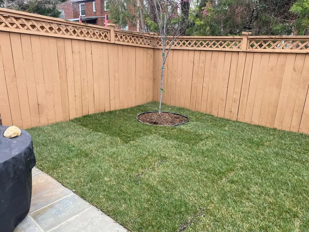 Custom garden landscaping experts serving Arlington, VA - Dynamic General Services
