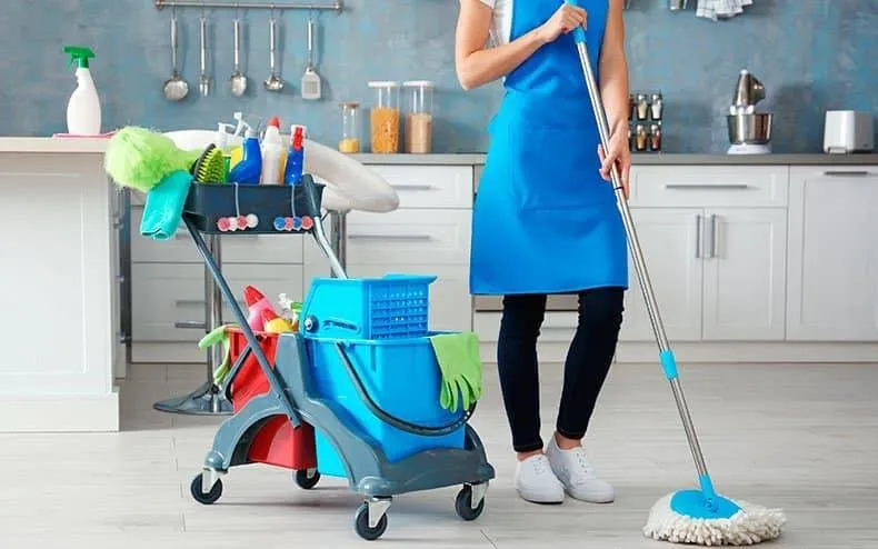 Expert yard maintenance experts serving Arlington, VA - Dynamic General Services