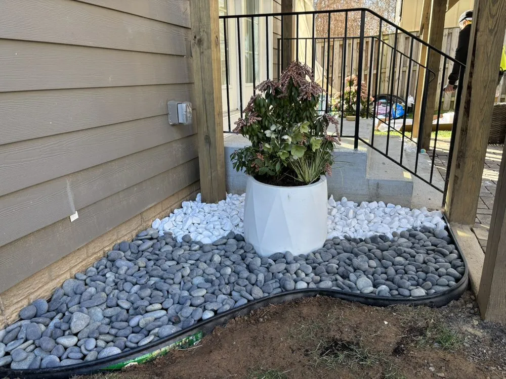 Expert yard maintenance near you in Arlington, VA by Dynamic General Services