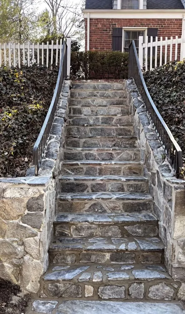 Trusted yard cleanup service experts serving Arlington, VA - Dynamic General Services