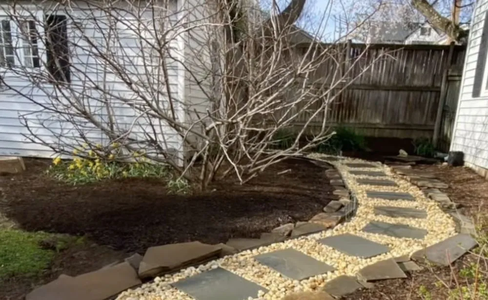 Trusted yard cleanup service in Arlington, VA - Dynamic General Services