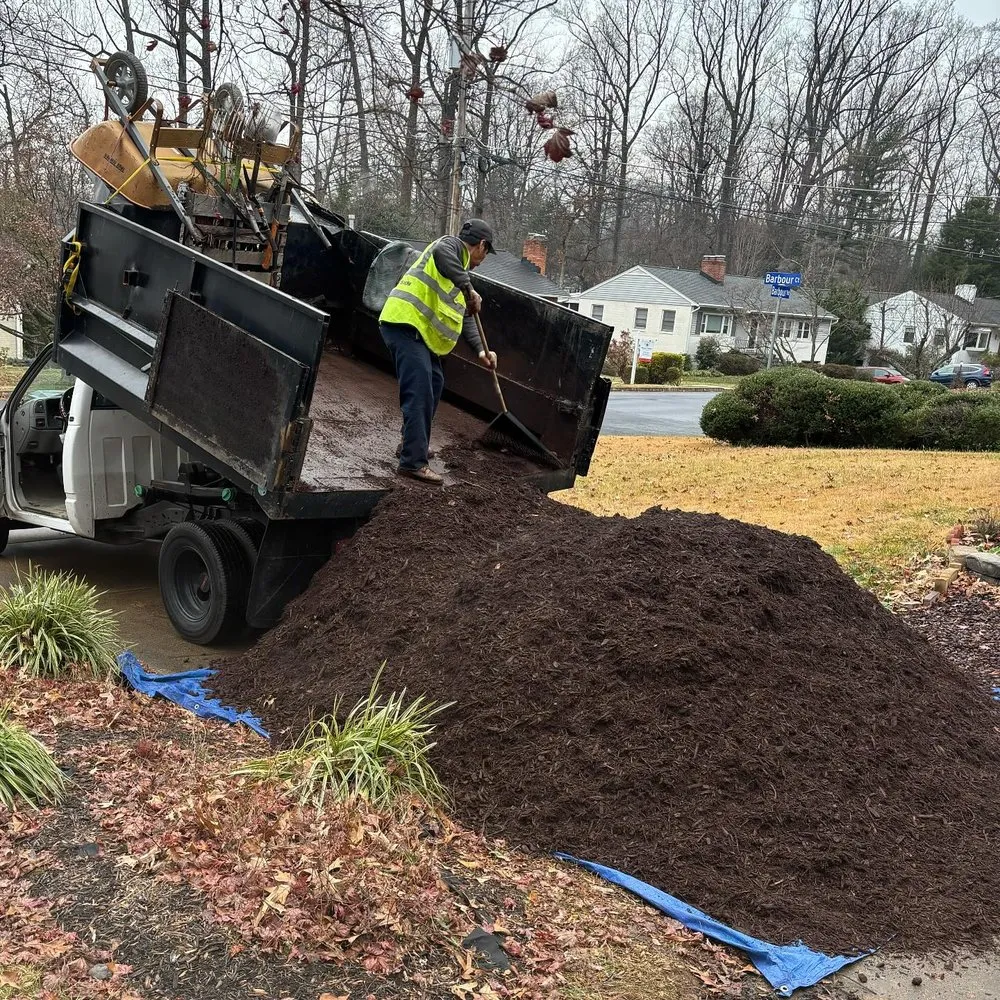 Affordable yard maintenance experts serving Arlington, VA - Dynamic General Services