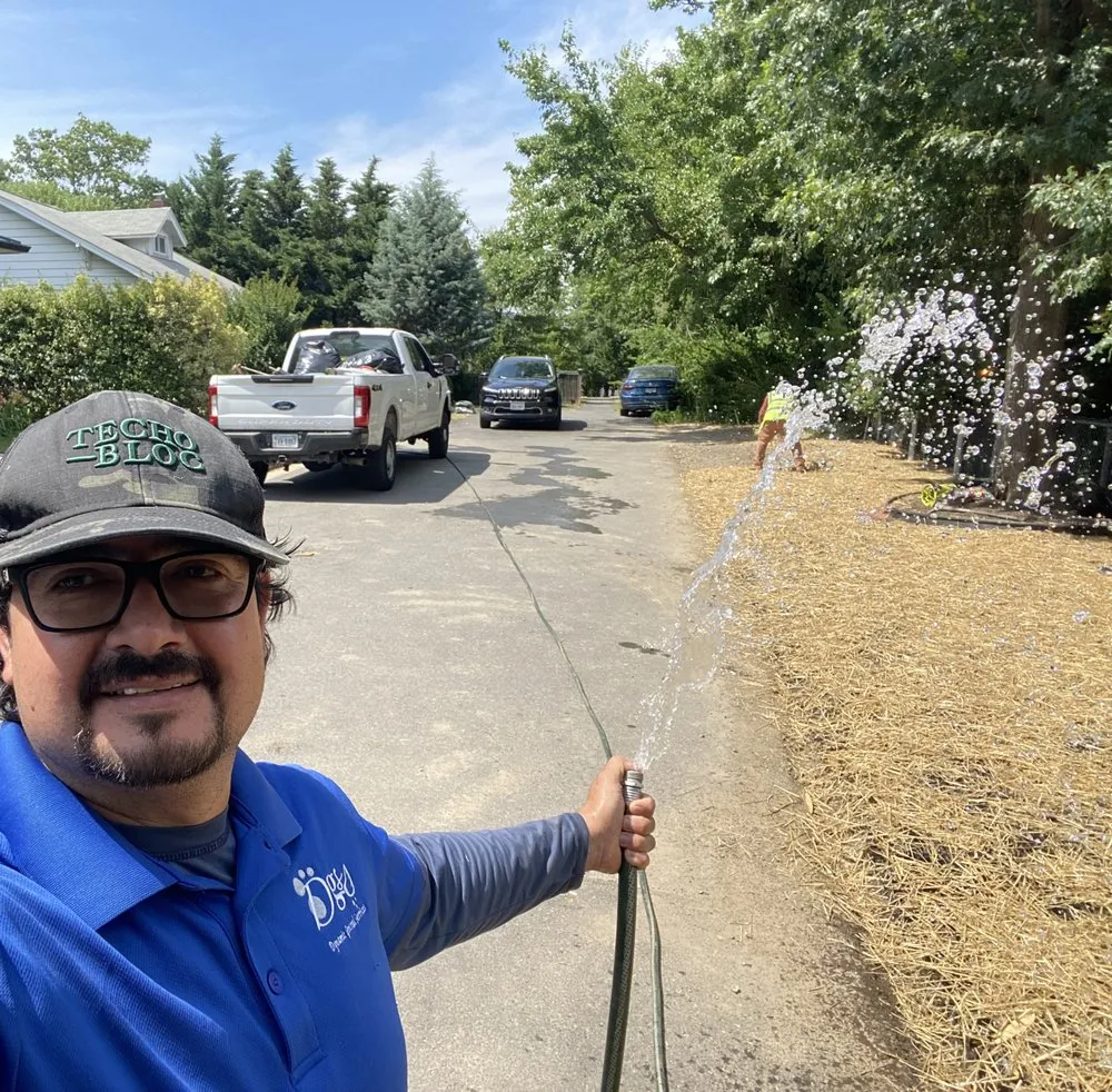 Reliable residential landscaping for year-round maintenance across Arlington, VA - Dynamic General Services