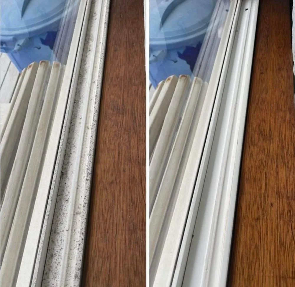 Professional landscaping services near you across Tillamook, OR - Dynamic homes