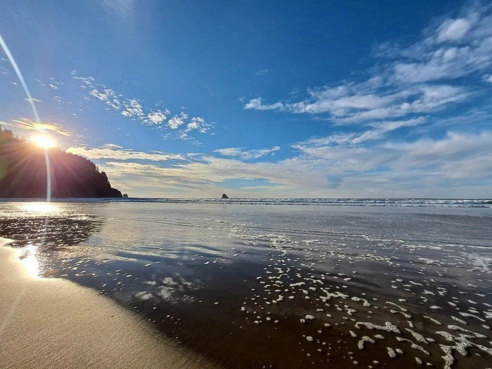 Reliable landscape installation in Tillamook, OR - Dynamic homes