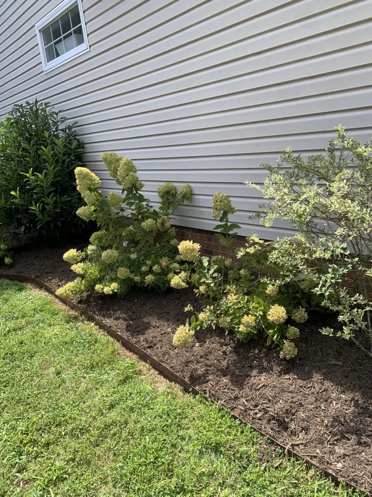 Affordable landscaping services in Charlotte, NC - Dynamic Horticulture