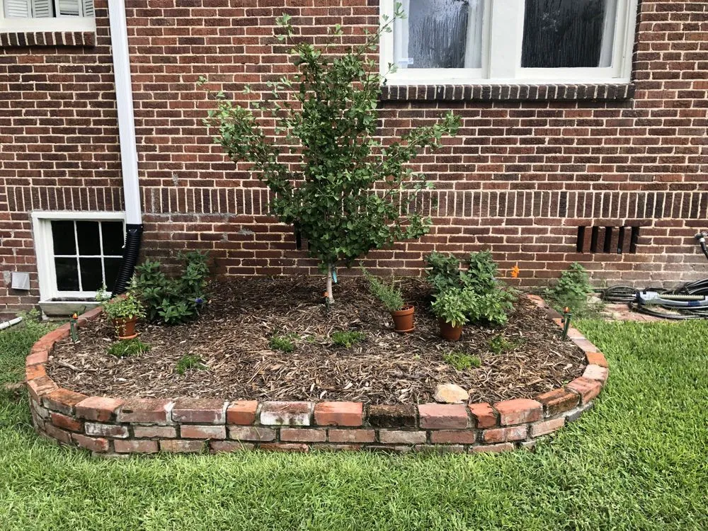 Professional landscaping services for beautiful yards in Charlotte, NC by Dynamic Horticulture