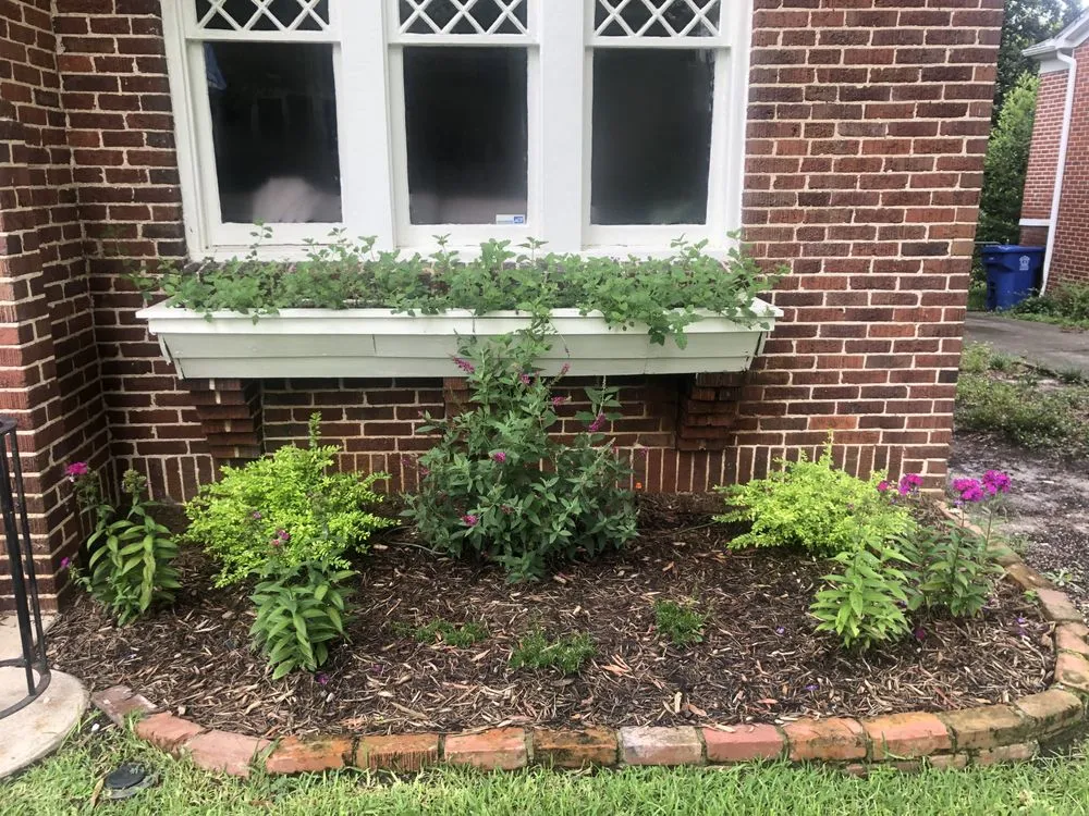 Top-rated yard cleanup service in Charlotte, NC - Dynamic Horticulture