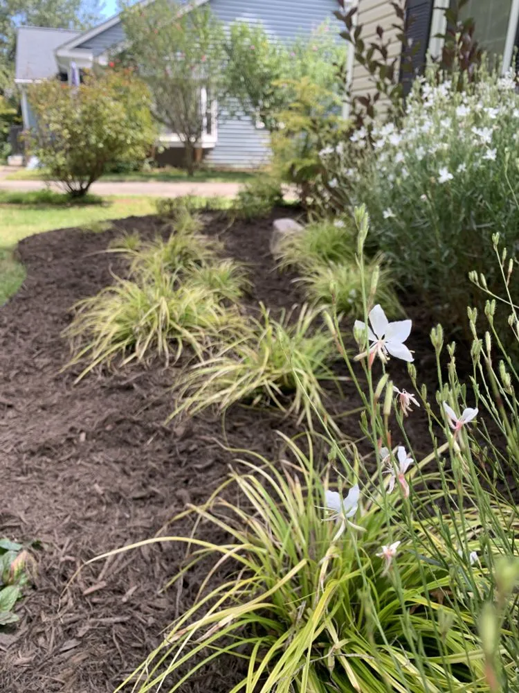 Trusted yard cleanup service experts serving Charlotte, NC - Dynamic Horticulture