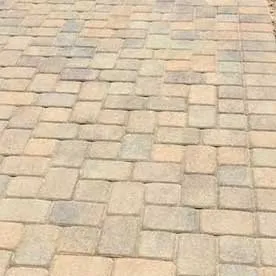 Custom lawn care service in Cypress, CA by Dynamic Land and Tree Care