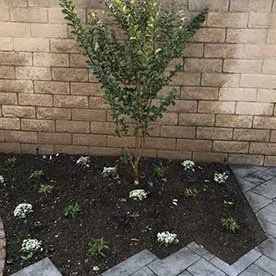 Top-rated garden landscaping in Cypress, CA by Dynamic Land and Tree Care