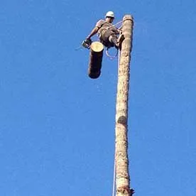 Local lawn mowing service for beautiful yards across Cypress, CA - Dynamic Land and Tree Care