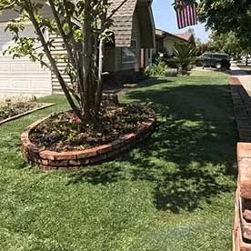 Affordable landscape design in Cypress, CA - Dynamic Land and Tree Care