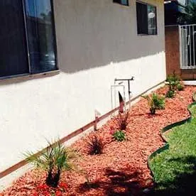 Top-rated lawn care service in Cypress, CA by Dynamic Land and Tree Care