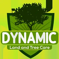 Reliable garden landscaping in Cypress, CA - Dynamic Land and Tree Care