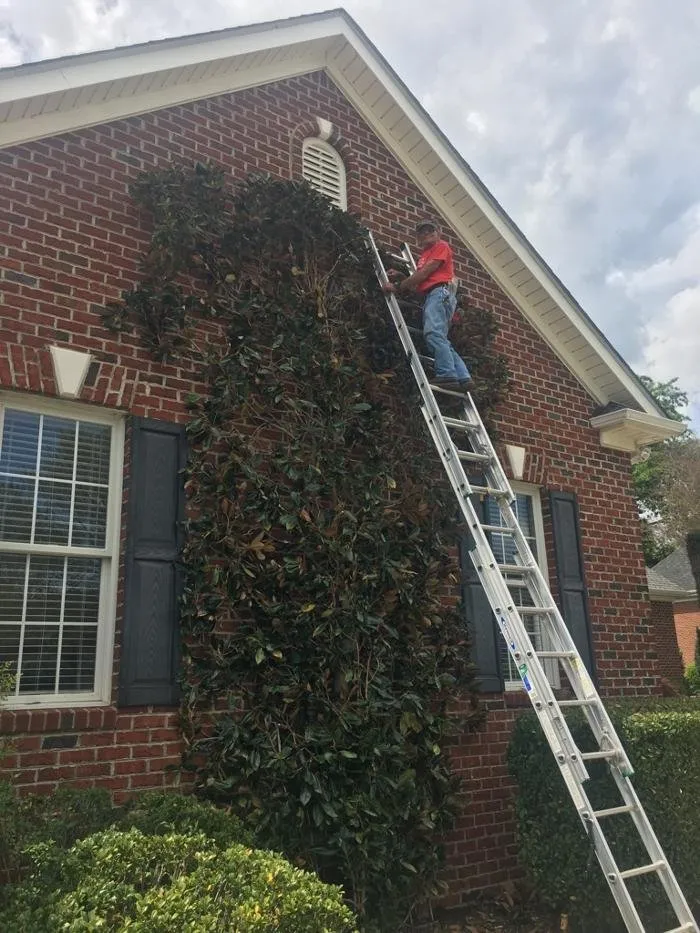 Local landscape design in Greenville, SC - Dynamic Landscape Concepts