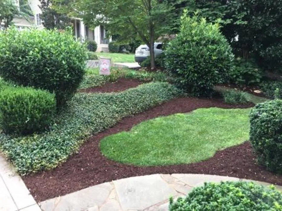 Expert landscaping services in Greenville, SC by Dynamic Landscape Concepts