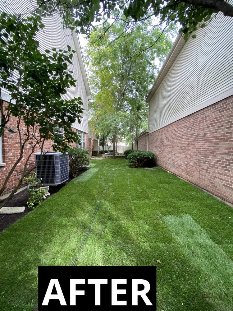 Local lawn mowing service near you across South Elgin, IL - Dynamic Landscape Design