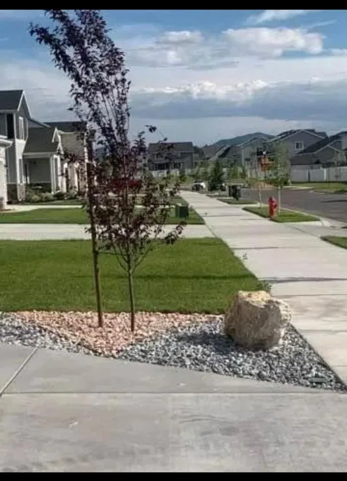 Reliable yard cleanup service for homes in Jerome, ID by Dynamic Landscape